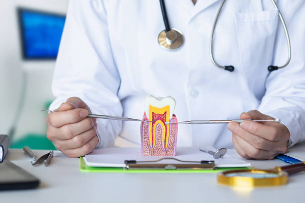 Best Emergency Treatment for Toothache in Stlman Valley, IL